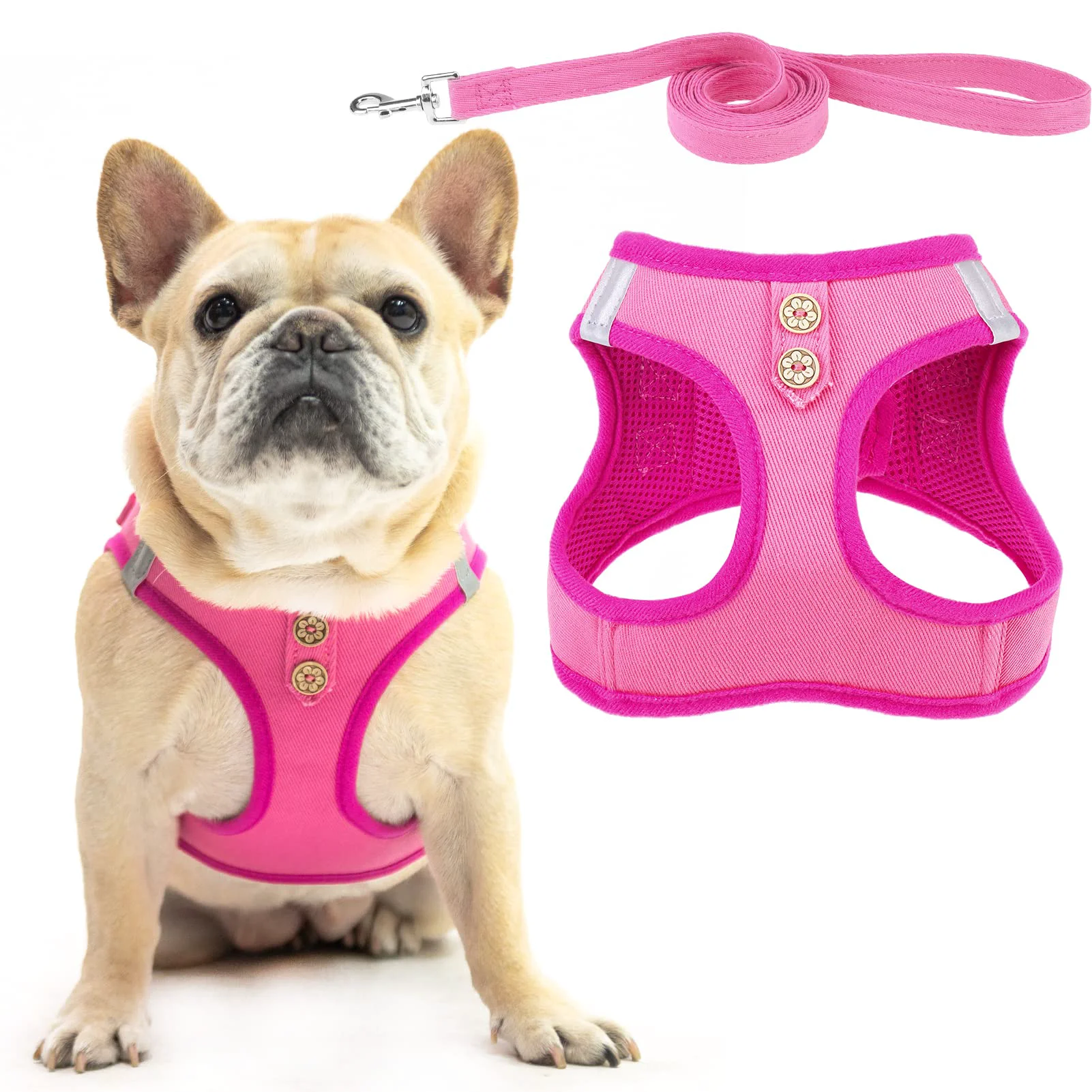 Functional PUPTECK Denim Pink No-Pull Harness Leash for Small Medium Dogs Unique