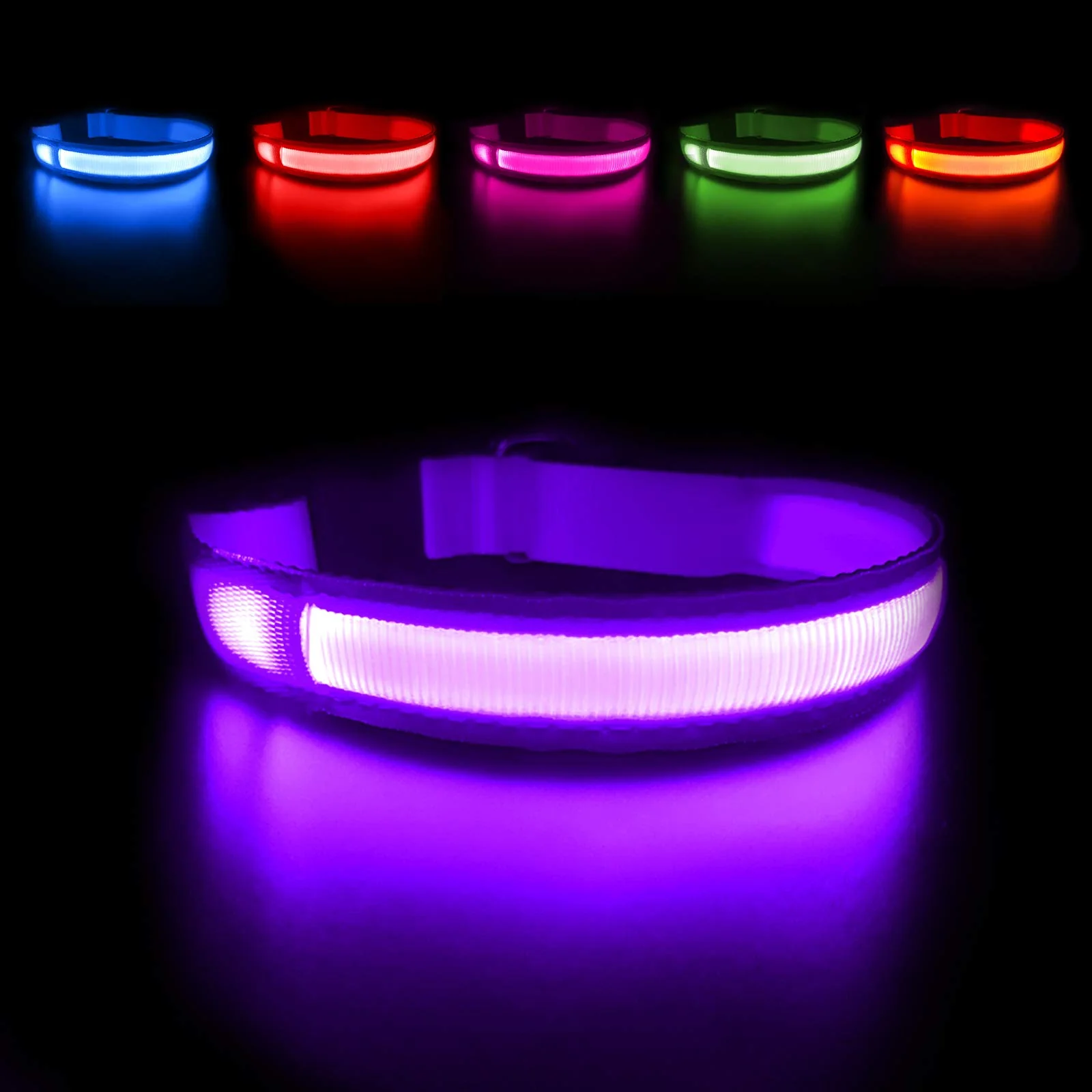 Exclusive MASBRILL LED Dog Collar - Rechargeable Glow Purple Waterproof 4 Colors 3 Sizes Stylish