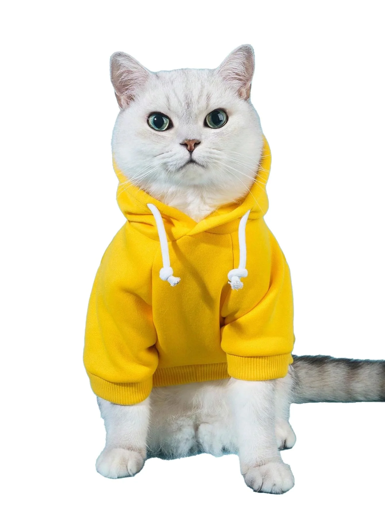 Secure QWINEE Basic Dog Hoodie Sweatshirt – Warm Yellow Hoodie for Small Medium Dogs Quality
