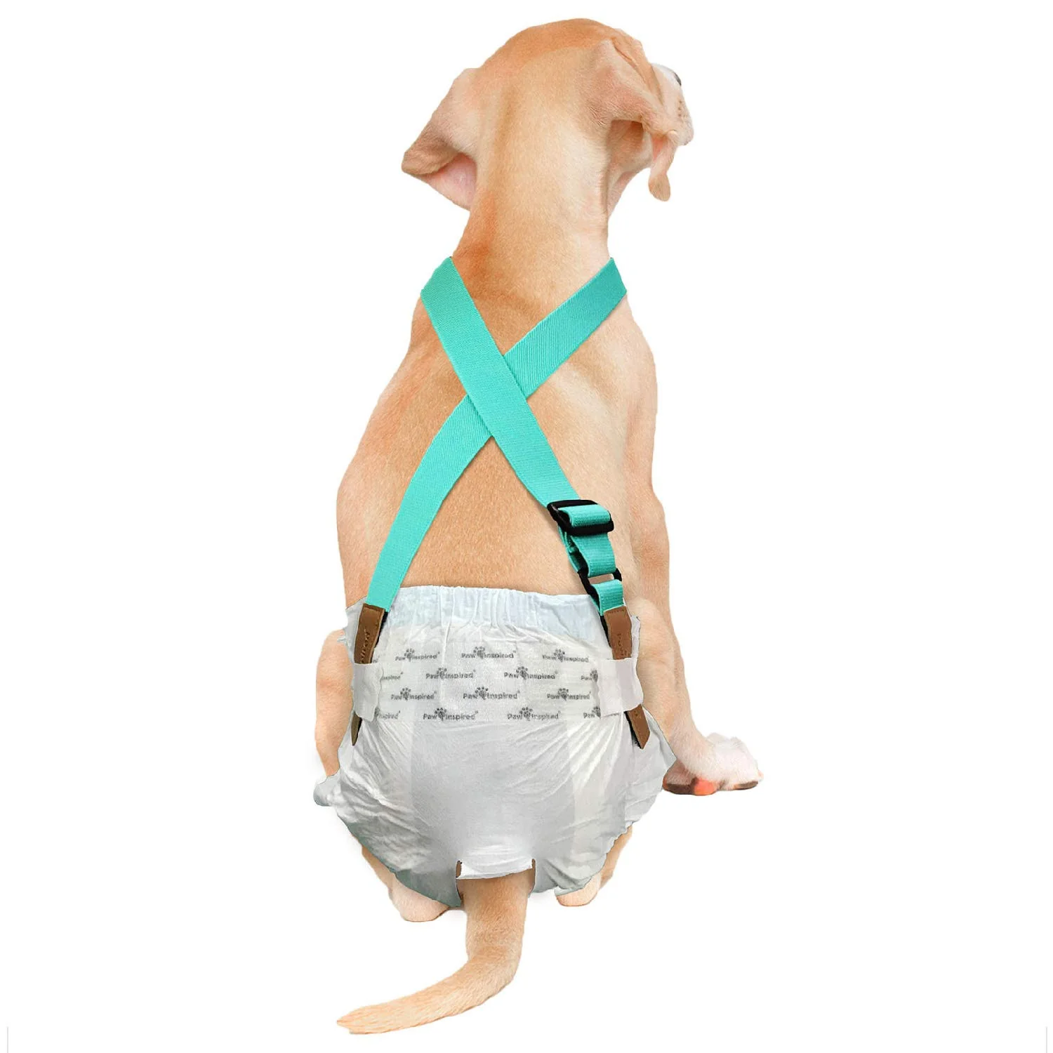 Smart Paw Inspired Dog Diaper Suspenders with Velcro Fasteners – Adjustable for Small to Large Pets High-End