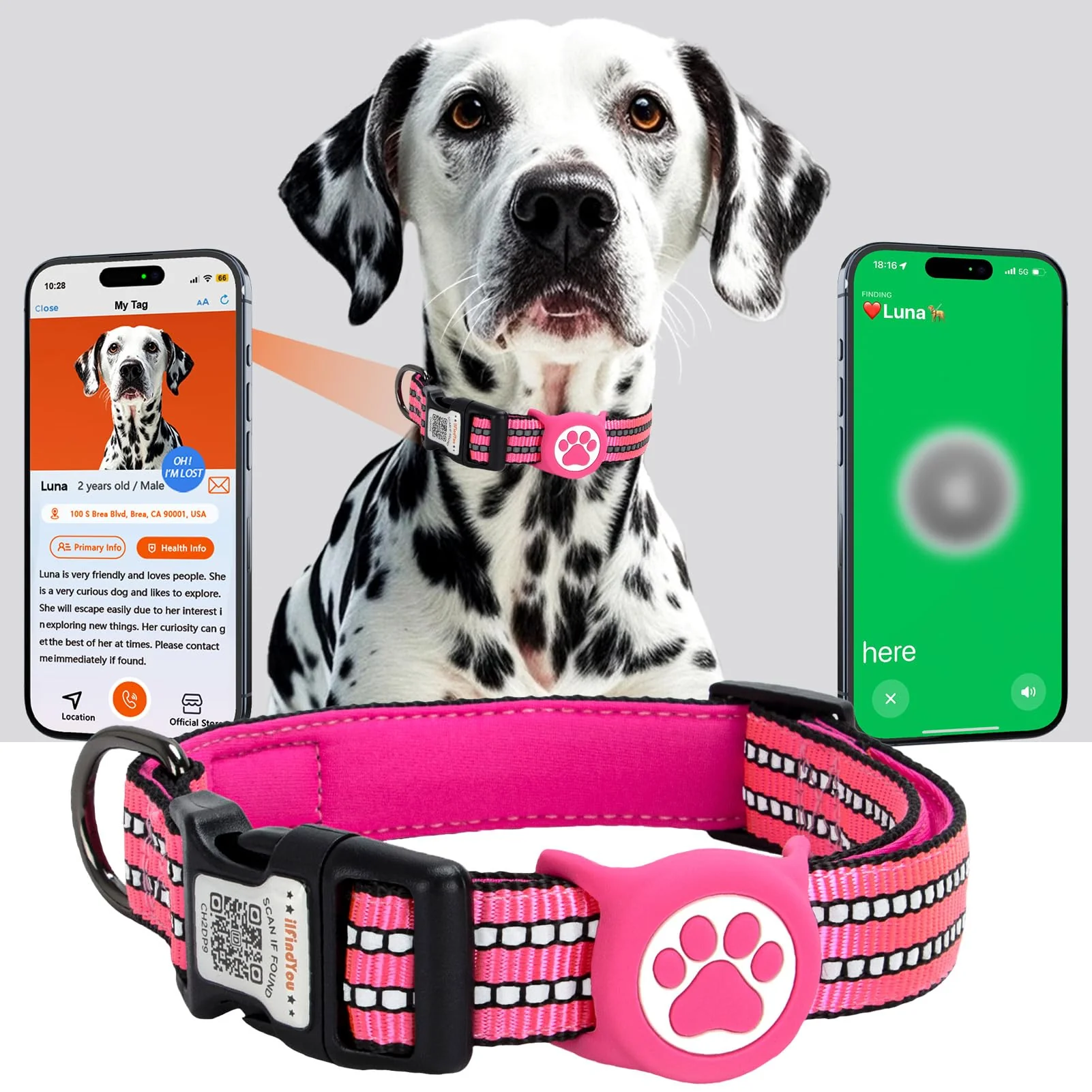 Modern ILFINDYOU AirTag Dog Collar for Medium Dogs – IP68 Waterproof Reflective QR Code Tags Rose Red Medium Green