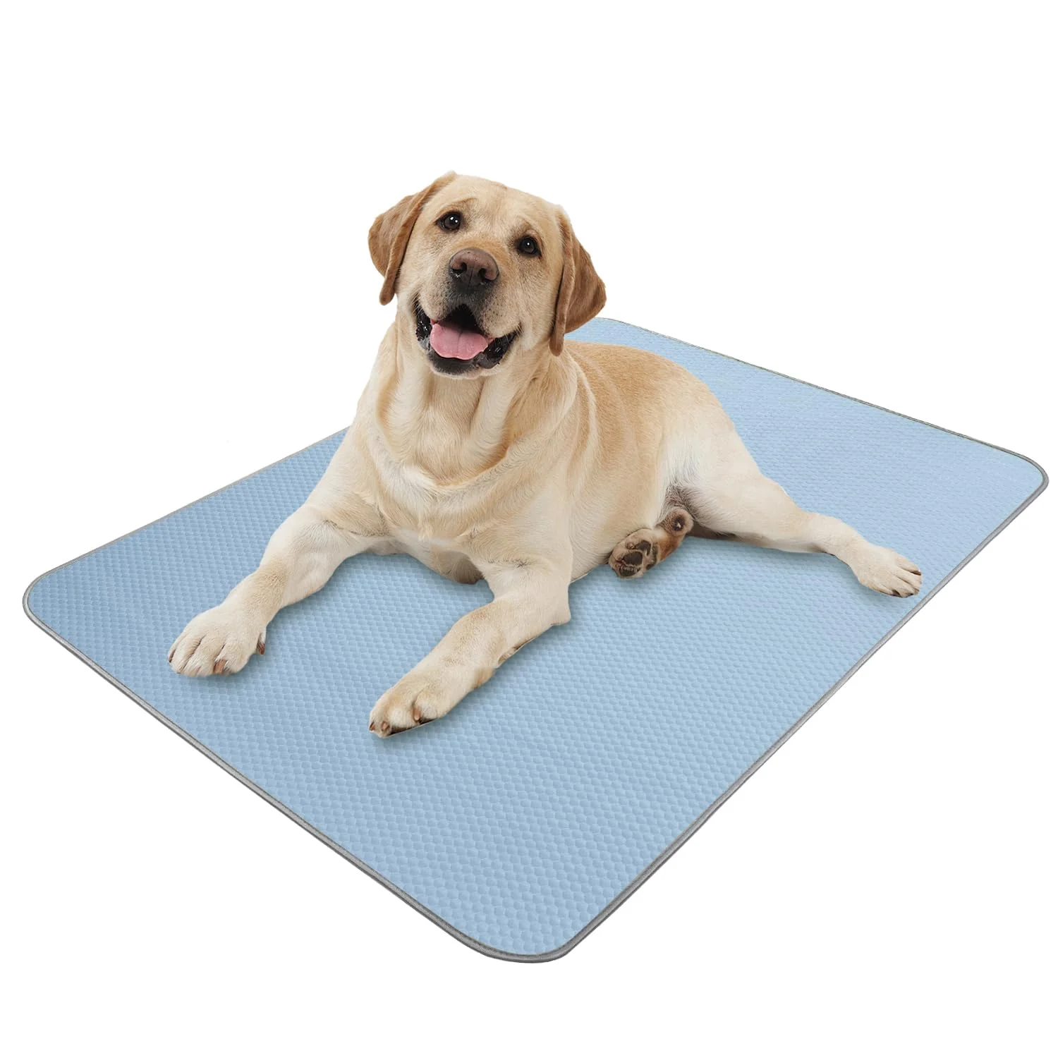 Healthy Buvlnee Summer Dog Cooling Mat – Washable Ice Silk Self-Cool Pad 40x28in for Medium Dogs Cats Convenient