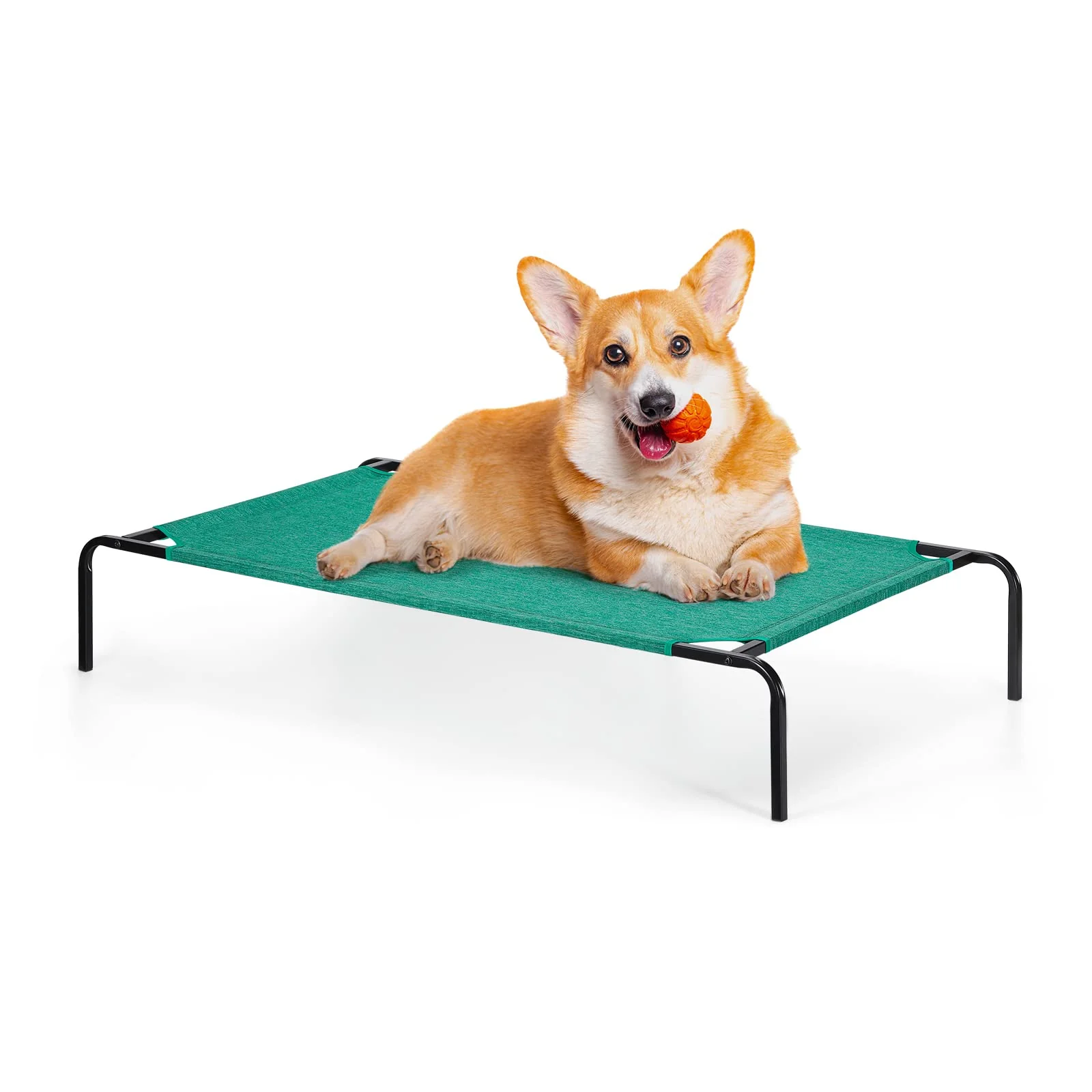 Refined OYEAL Raised Ped Bed – d Dog Bed for Small to Medium Pets Indoor Outdoor – Green Carefully Designed