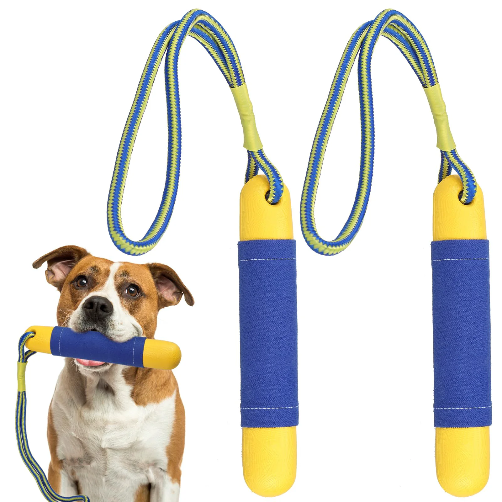 Dependable SCIROKKO Dog Pool Toys - 2 Pack Floating Fetch Toys for Water Play Efficient