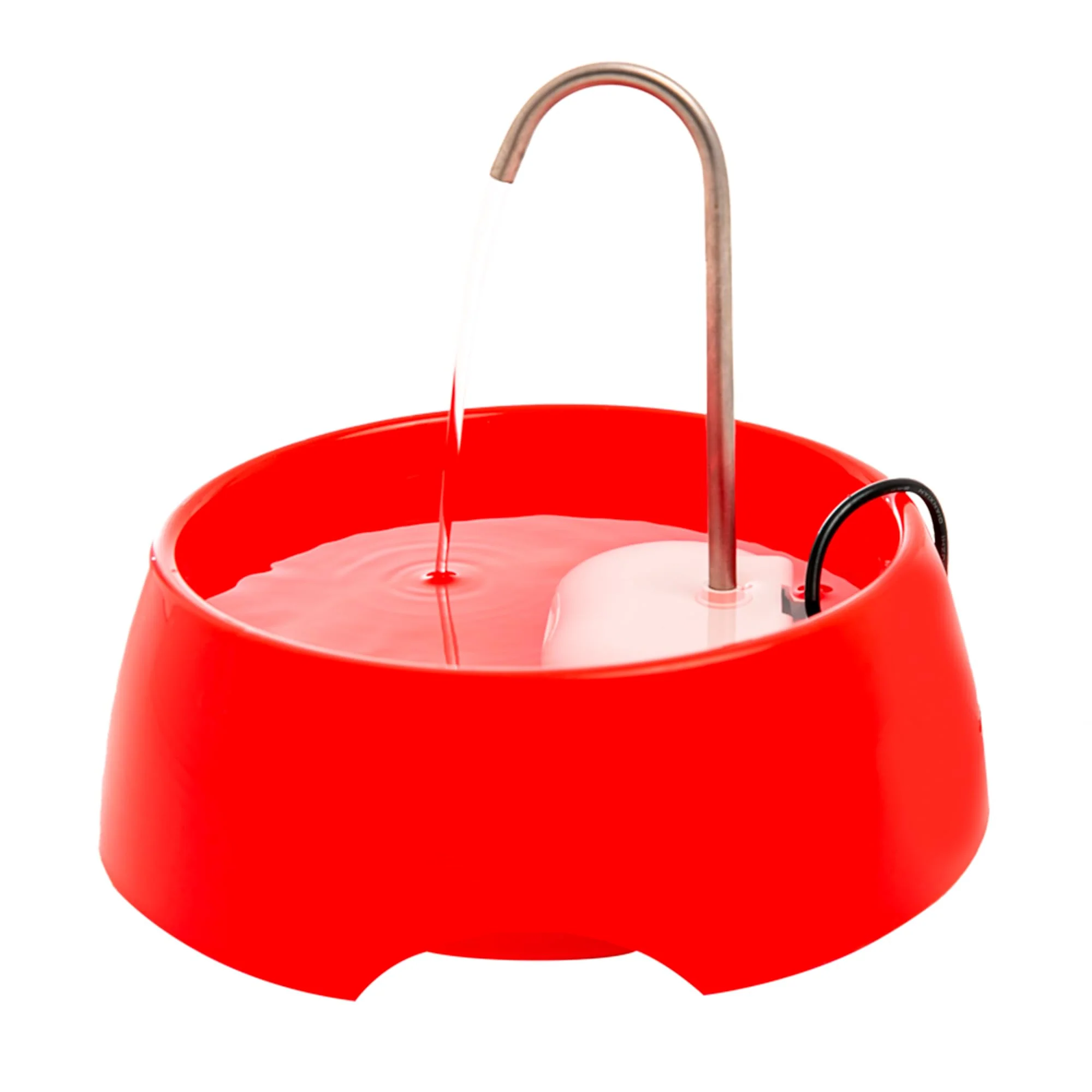 Next-Generation amicus Aqua MINI Portable Pet Water Fountain – 1.2L 42 fl oz Red Expertly Made