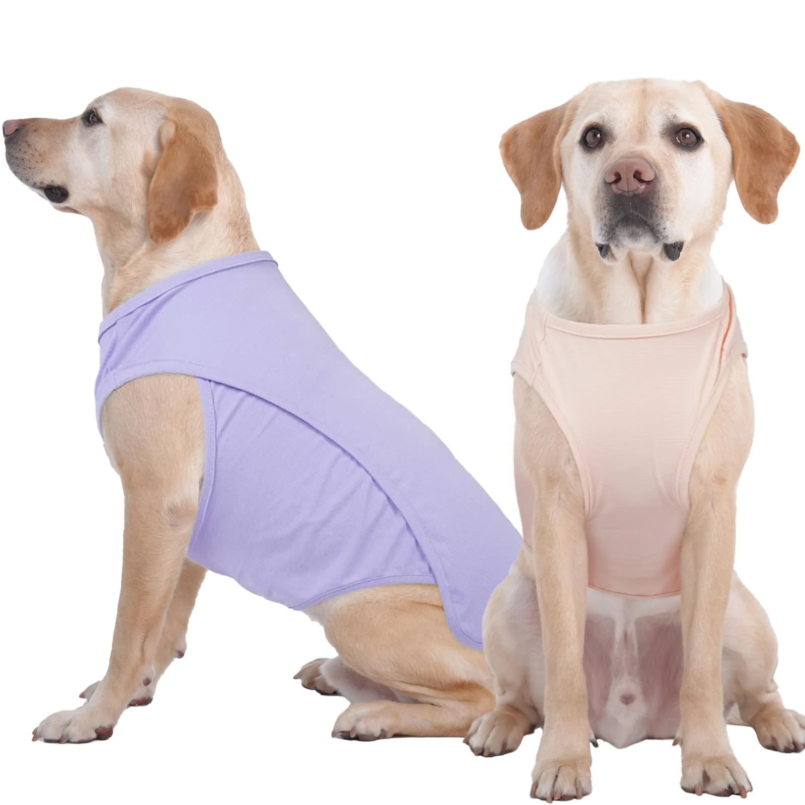 Expertly Made IKIPUKO 2 Pack Summer Dog Shirt - Quick-Dry Cooling T-Shirts for Large Dogs 4XL Purple Pink Modern