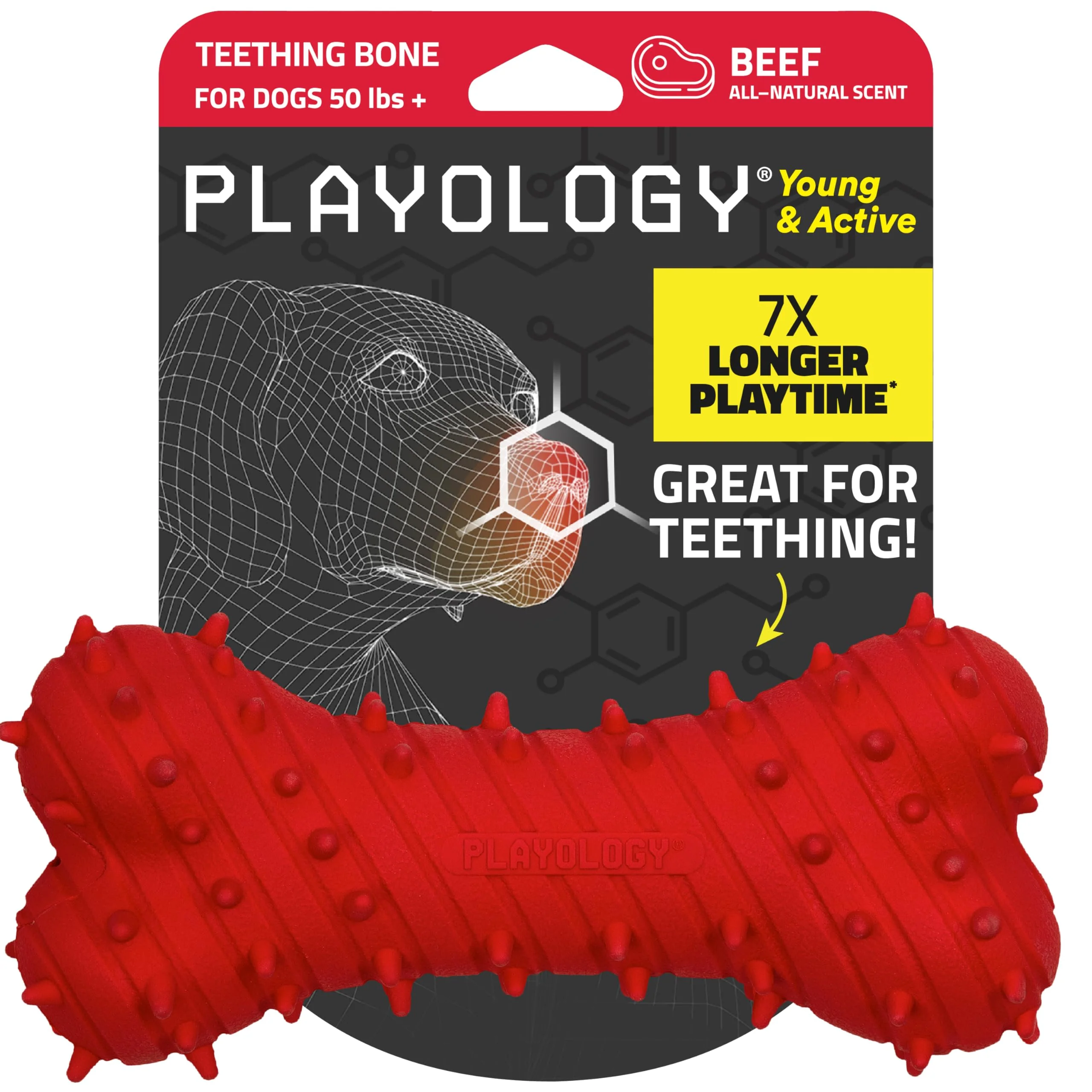 Relaxed Playology Puppy Teething Bone — Jumbo Beef-Scented Toy for Active Dogs Non-Toxic Stylish