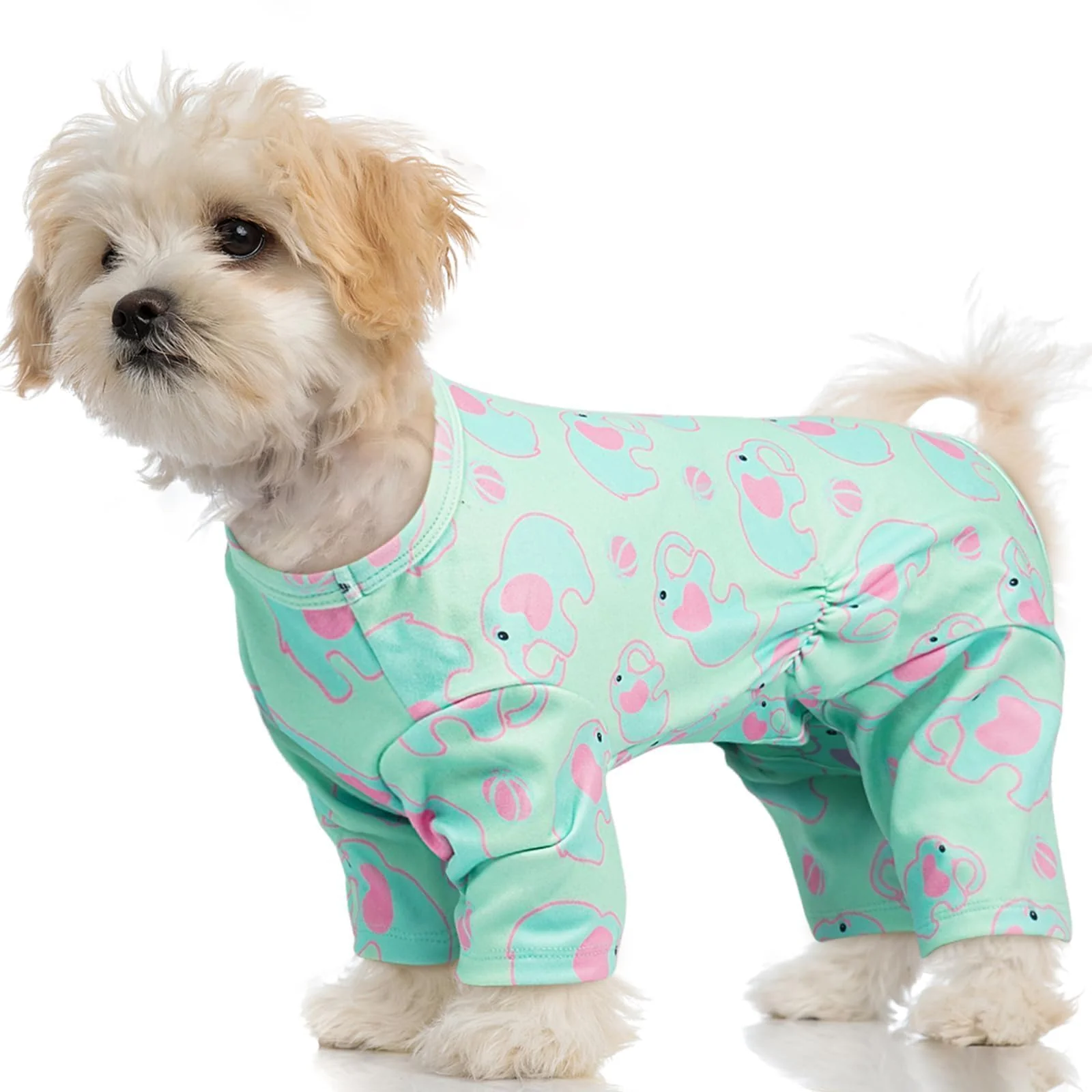 Prestigious MORVIGIVE XS Dog PJs – Warm 4-Leg Long Sleeve Onesie for Small Dogs Green Unique