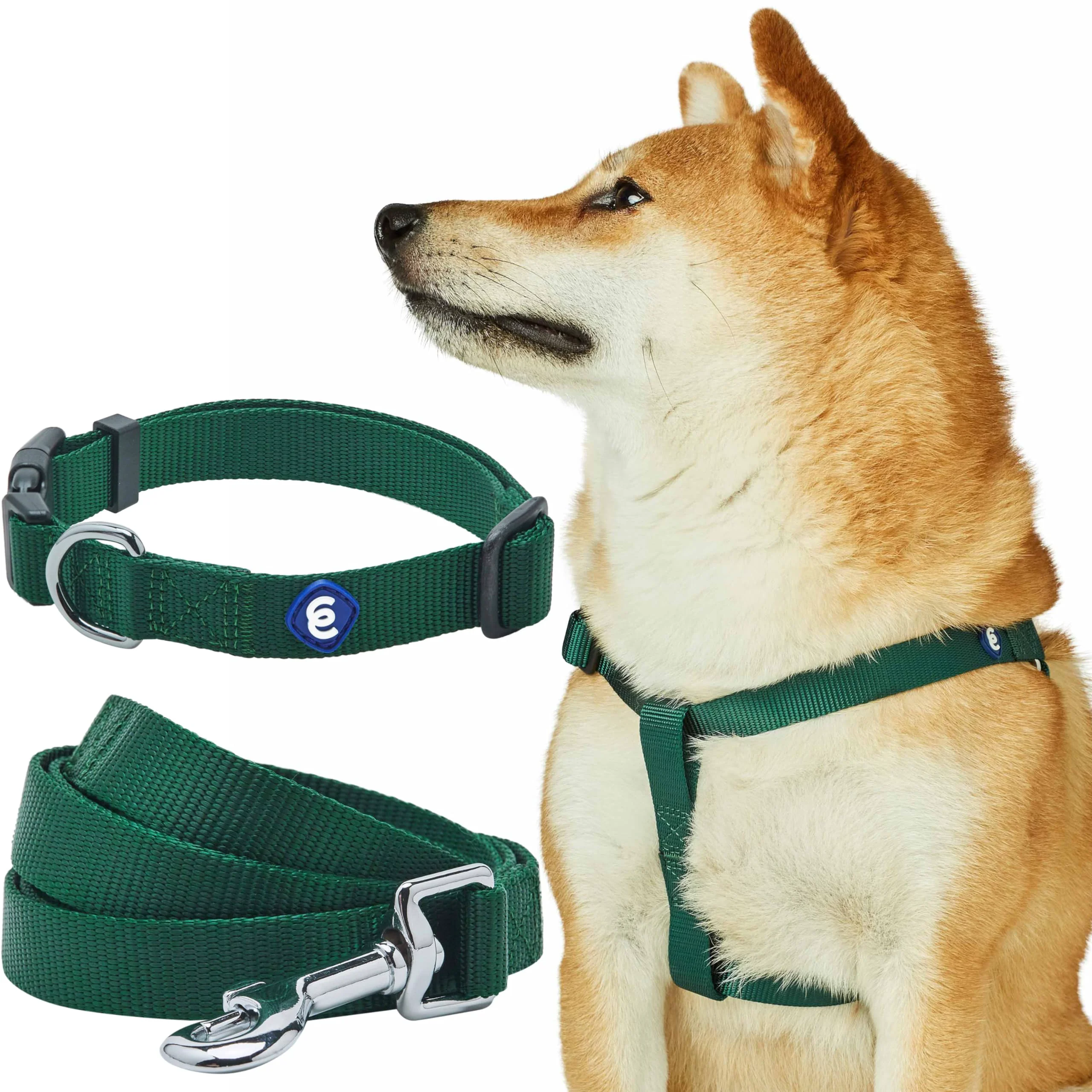 Environmentally Friendly Blueberry Pet Essentials Verdant Green Collar Harness Leash Set for Large Dogs High-Grade