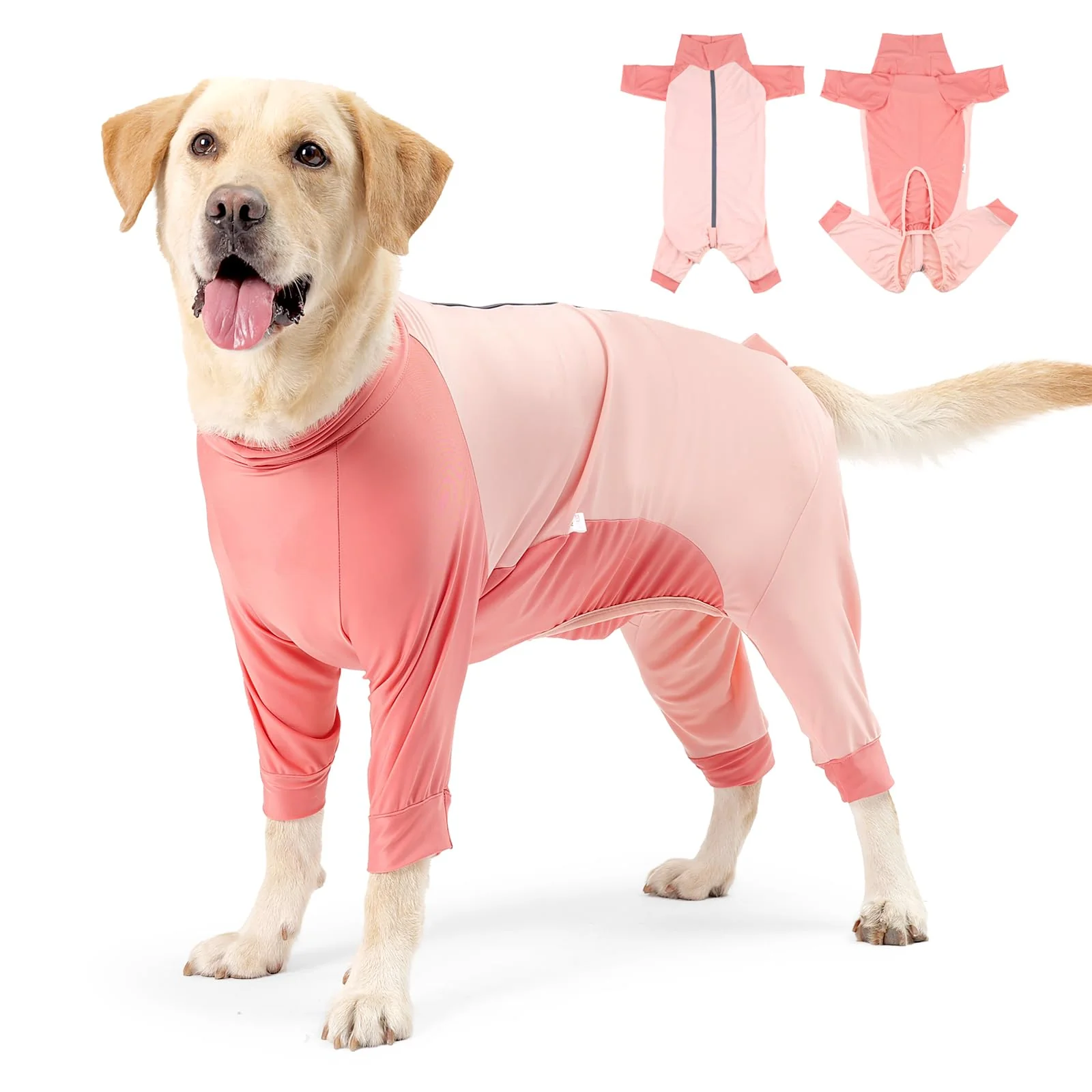 Genuine Etdane Recovery Suit for Dogs – Post-Surgery Onesie Pink XS Trusted