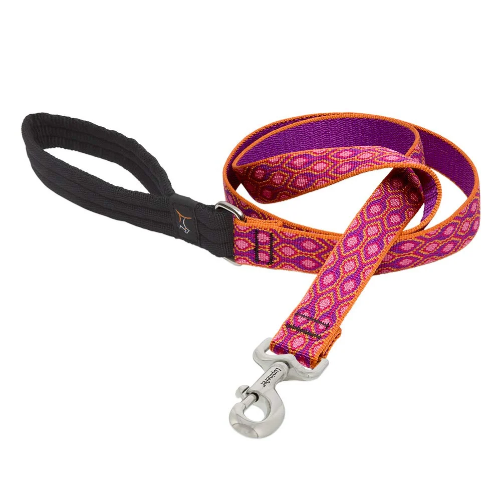 Responsible LupinePet s Alpen Glow 4-Foot Leash with Padded Handle Medium Large Dogs User-Friendly