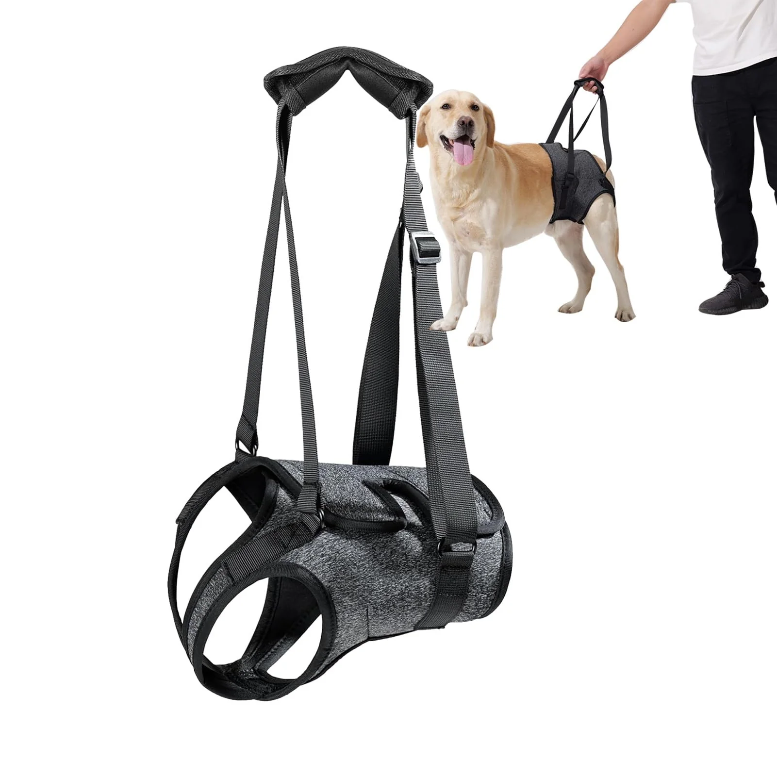 Smooth BUALR Adjustable Dog Lift Harnesses Hind Leg Support for Elderly Injured Arthritic Dogs Medium Functional