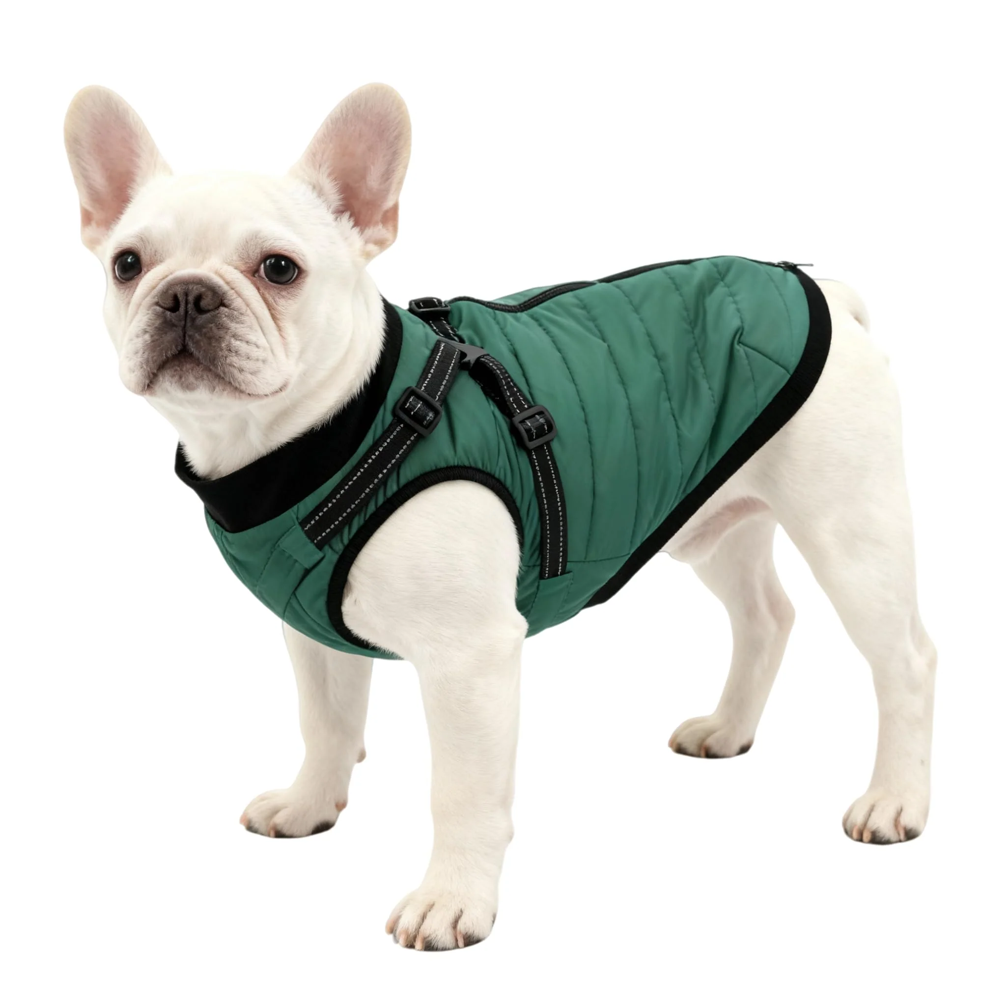 Functional Furmate Dog Winter Coat with Built-In Harness — Green Size M Easy-to-Use