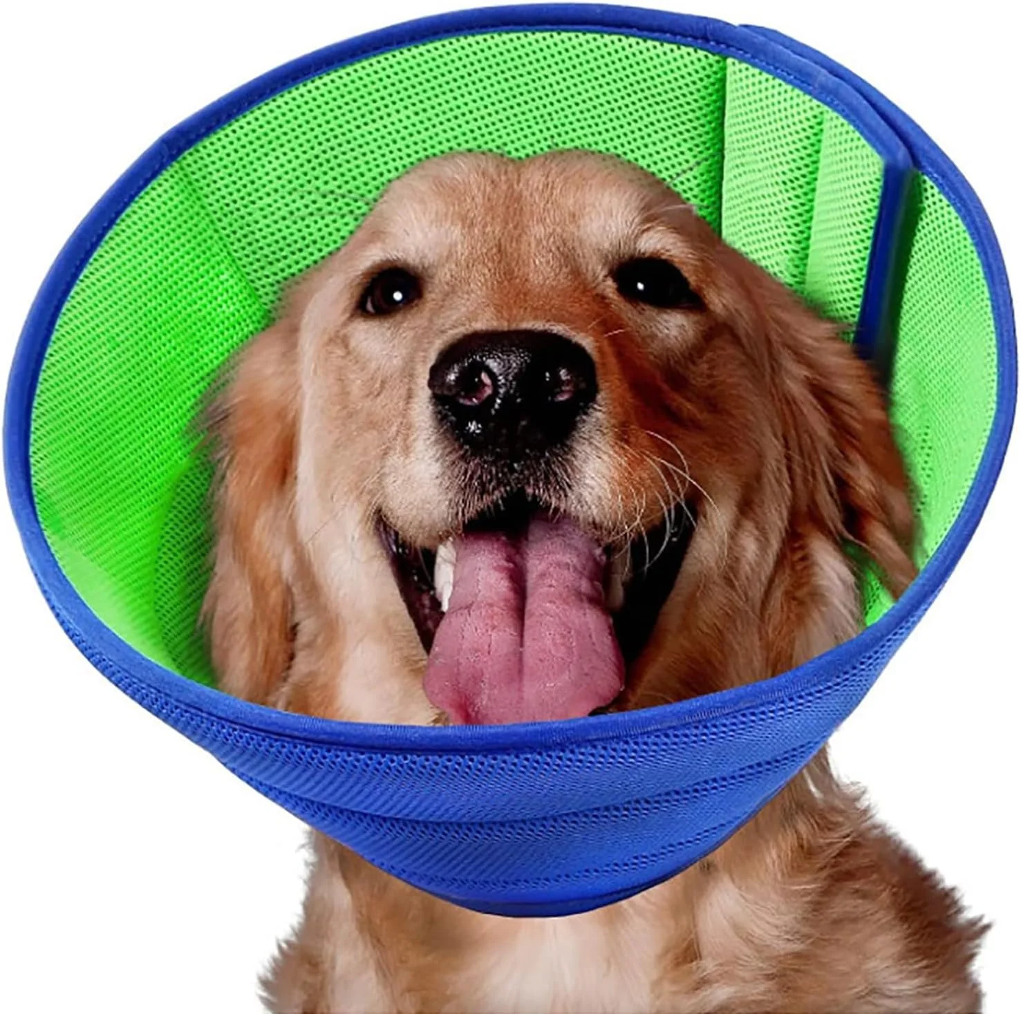 Innovative LH NTGR Soft Dog Cone Recovery Collar Blue L – Adjustable Breathable Comfort-Focused Specialty