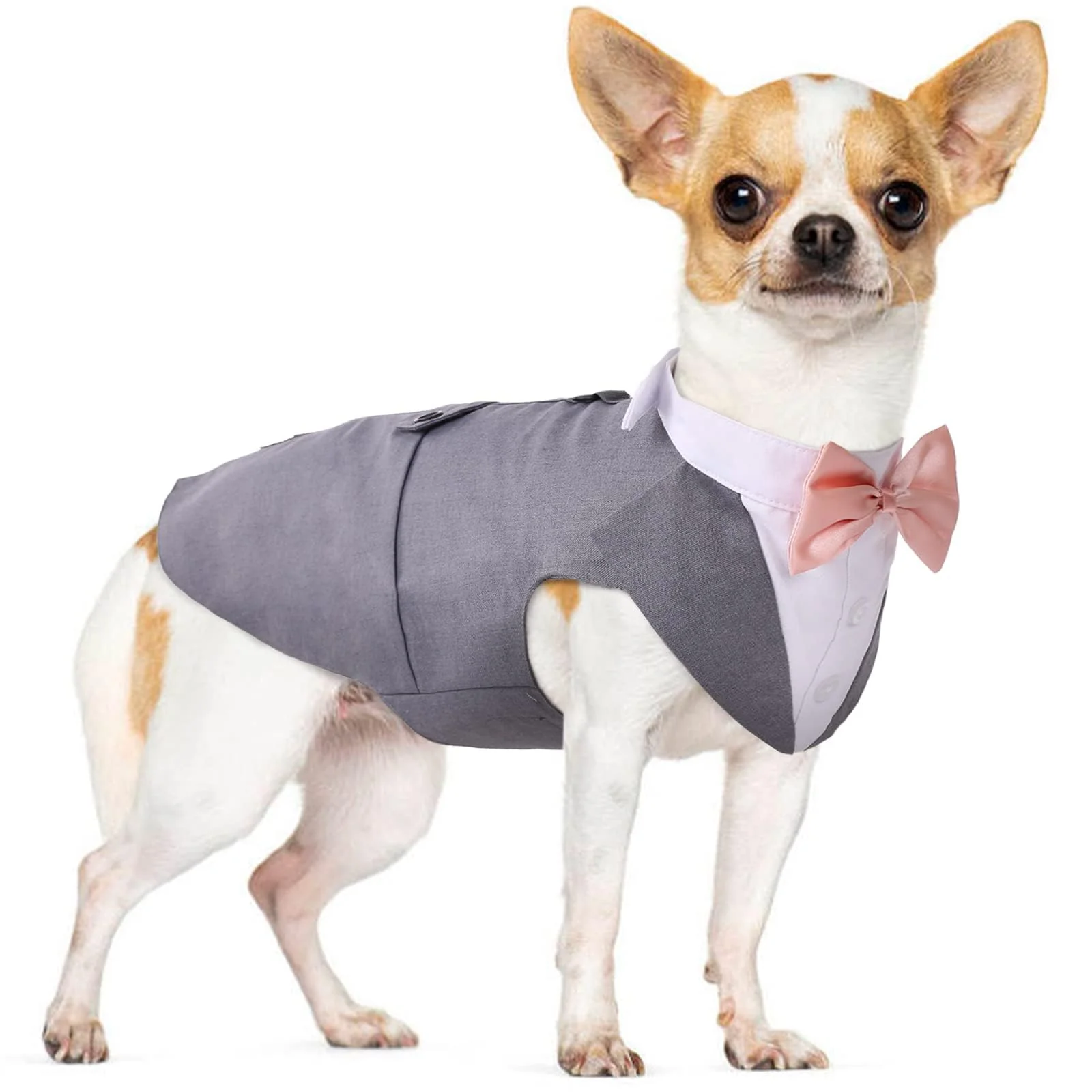 Excellent PUMYPOREITY Medium Dog Bowtie Tuxedo – 2-Piece Grey Set Size M High-End