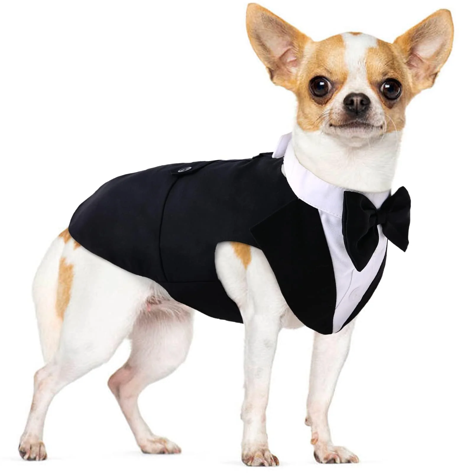 Minimalist PUMYPOREITY Medium Dog Bow Tie Tuxedo Suit 2-Piece Wedding Outfit for Pets M Black Pure