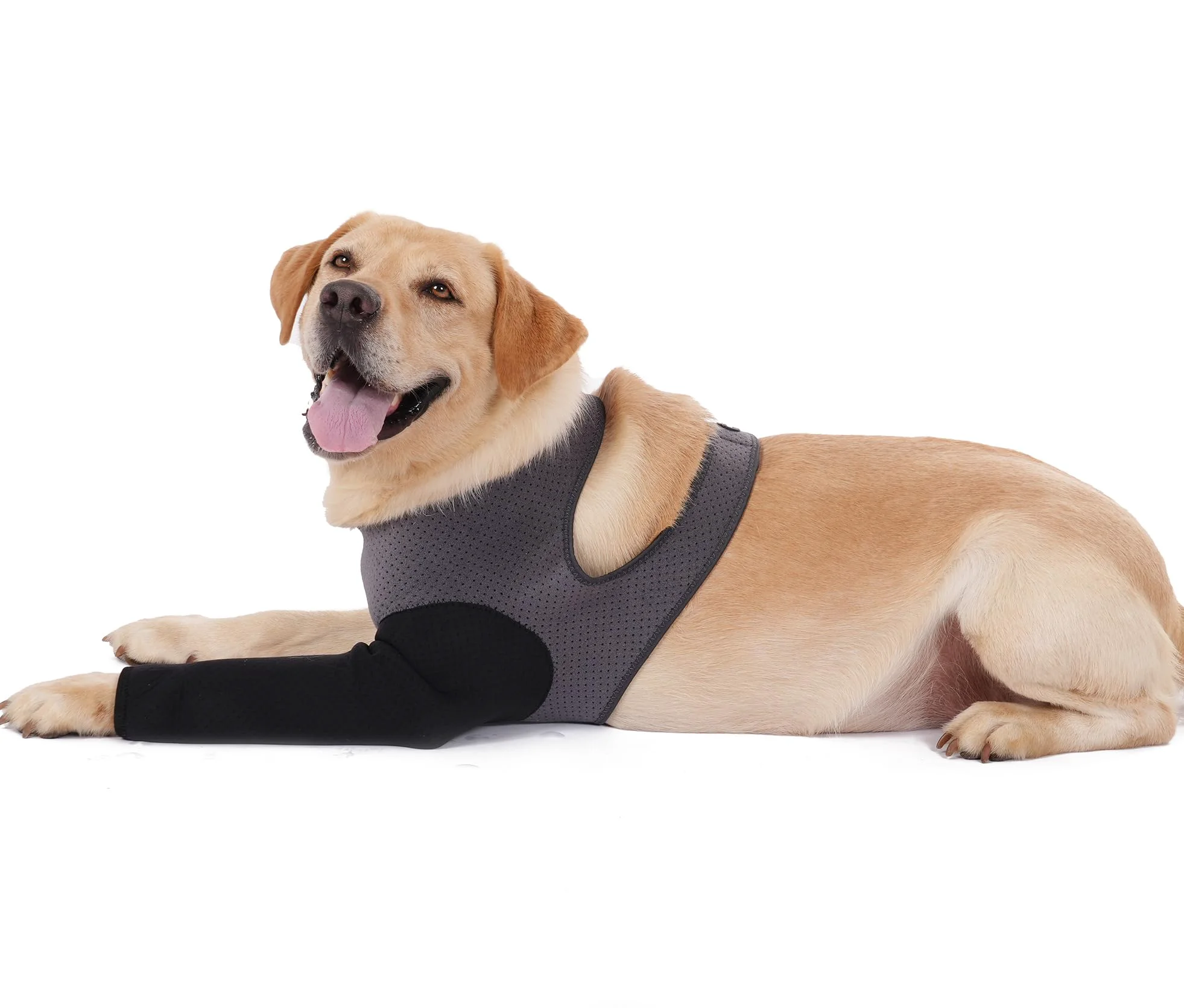 Responsible Cilkus Dog Recovery Sleeve Front-Leg Suit – 2.5mm Thick Abrasion-Resistant Washable Breathable Small Grey-Black Secure