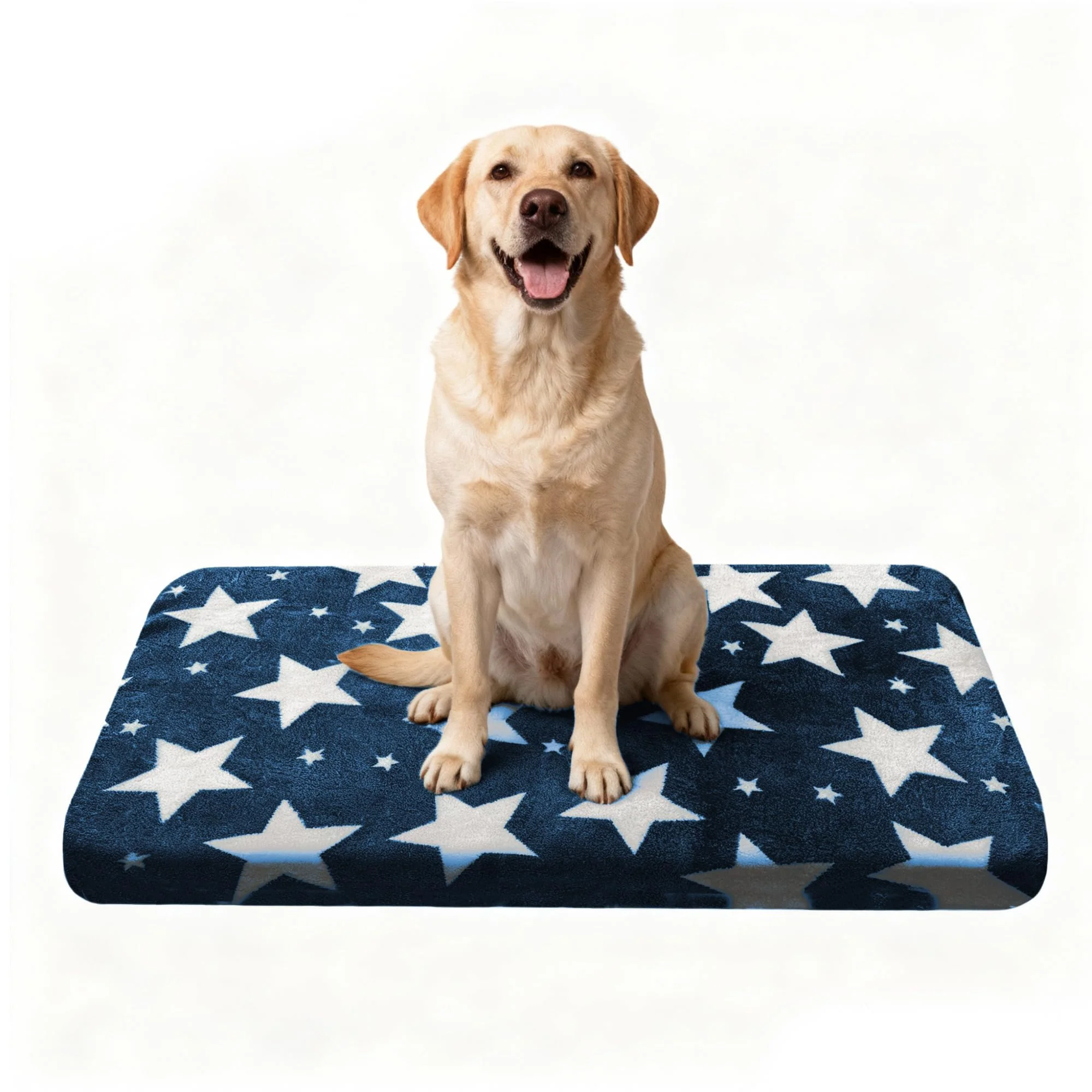 Safe Wittop Washable Dog Bed – Plush Orthopedic Kennel Mat Blue 36x24 Official