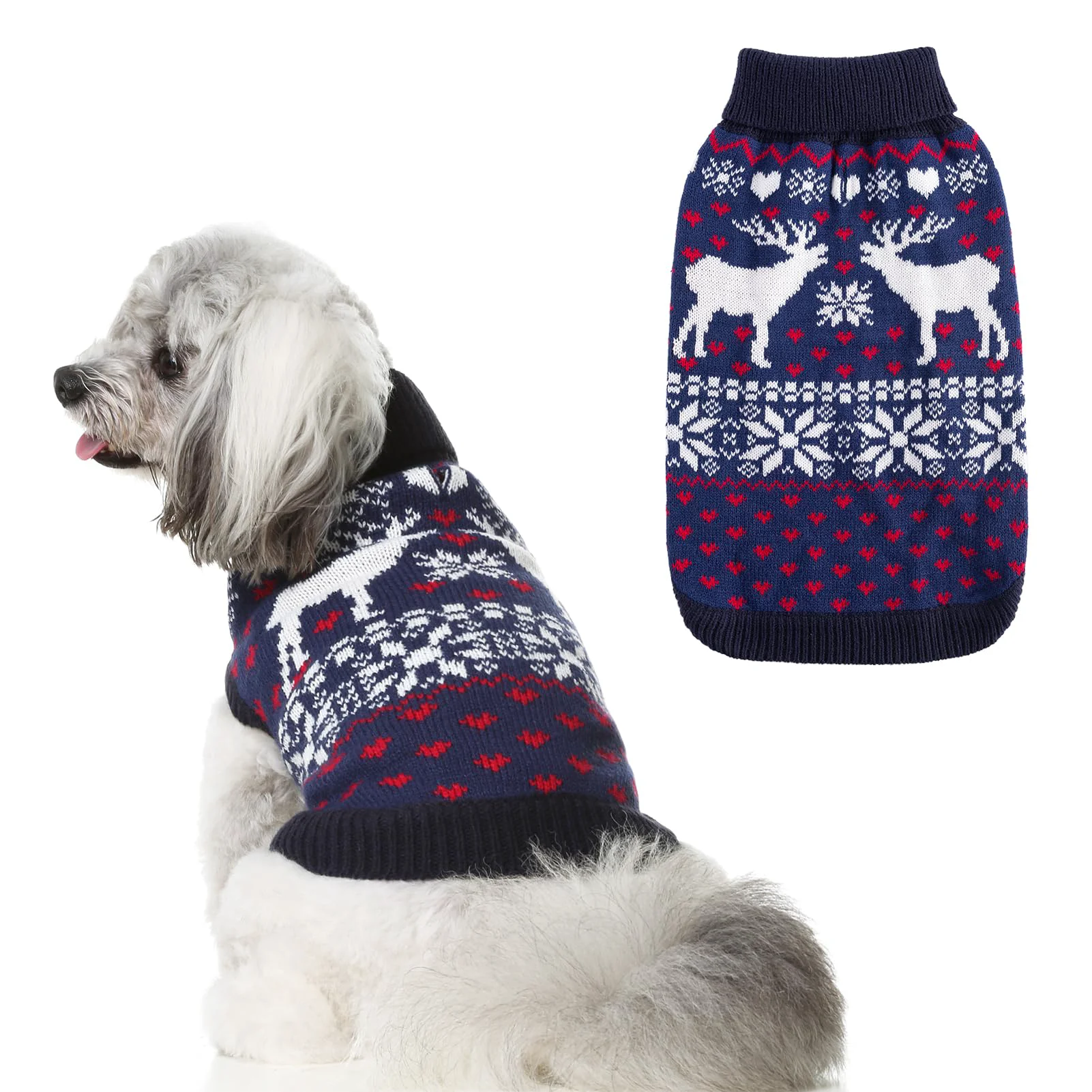 First-Class SCENE Dog Sweater – Winter Turtleneck Knitwear for Small Breeds SM Casual