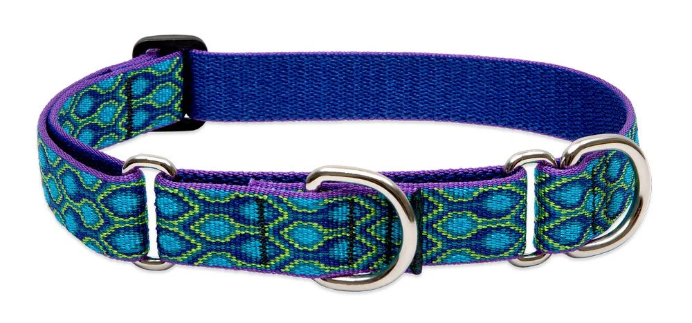 Functional LupinePet s 1 Rain Song Martingale Collar for Large Dogs 19–27 in – Safe