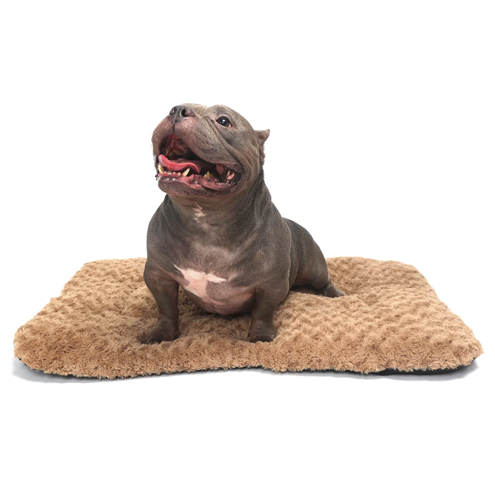 Green LIGENZ Deluxe Plush Dog Crate Pad – Washable Anti-Slip Kennel Bed for Large Dogs 35 x 22 x 1.5 in Consistent