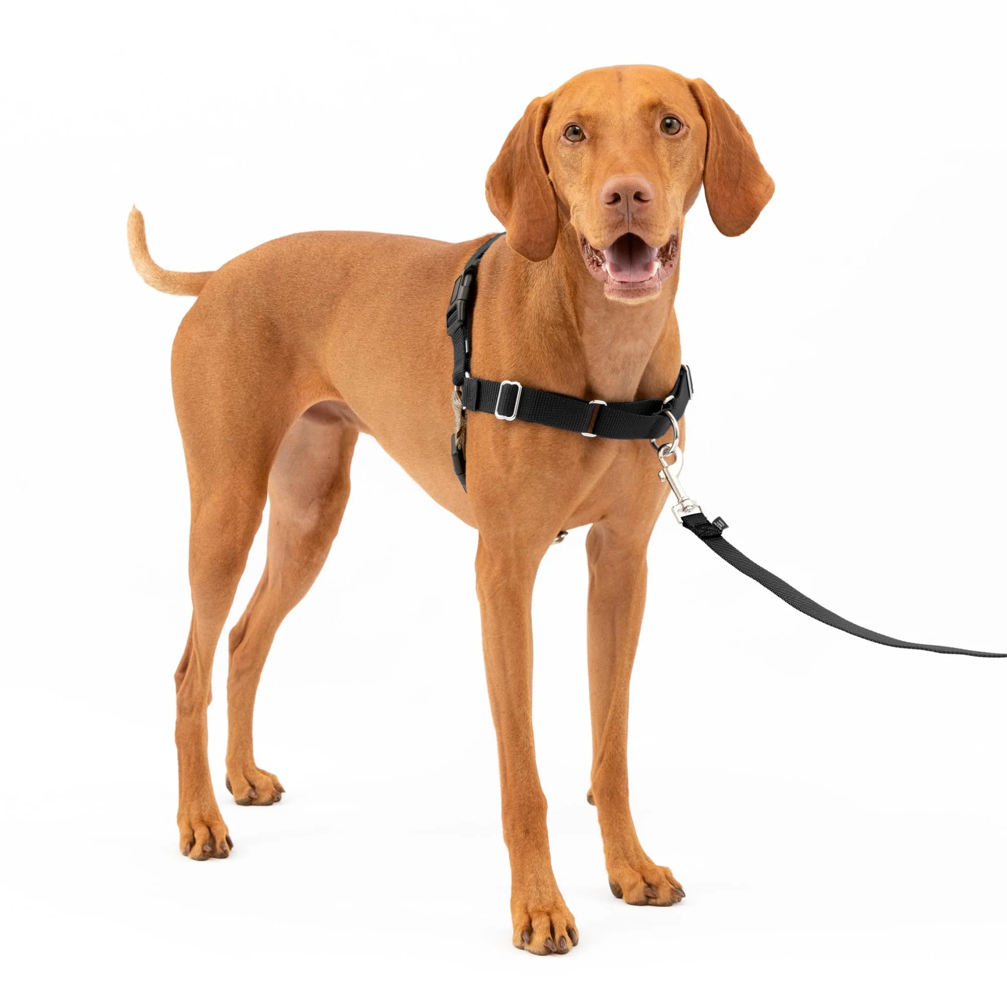 Premium Material PetSafe Easy Walk Harness for Dogs - No-Pull Front Chest Attachment Medium Black Silver Specialty