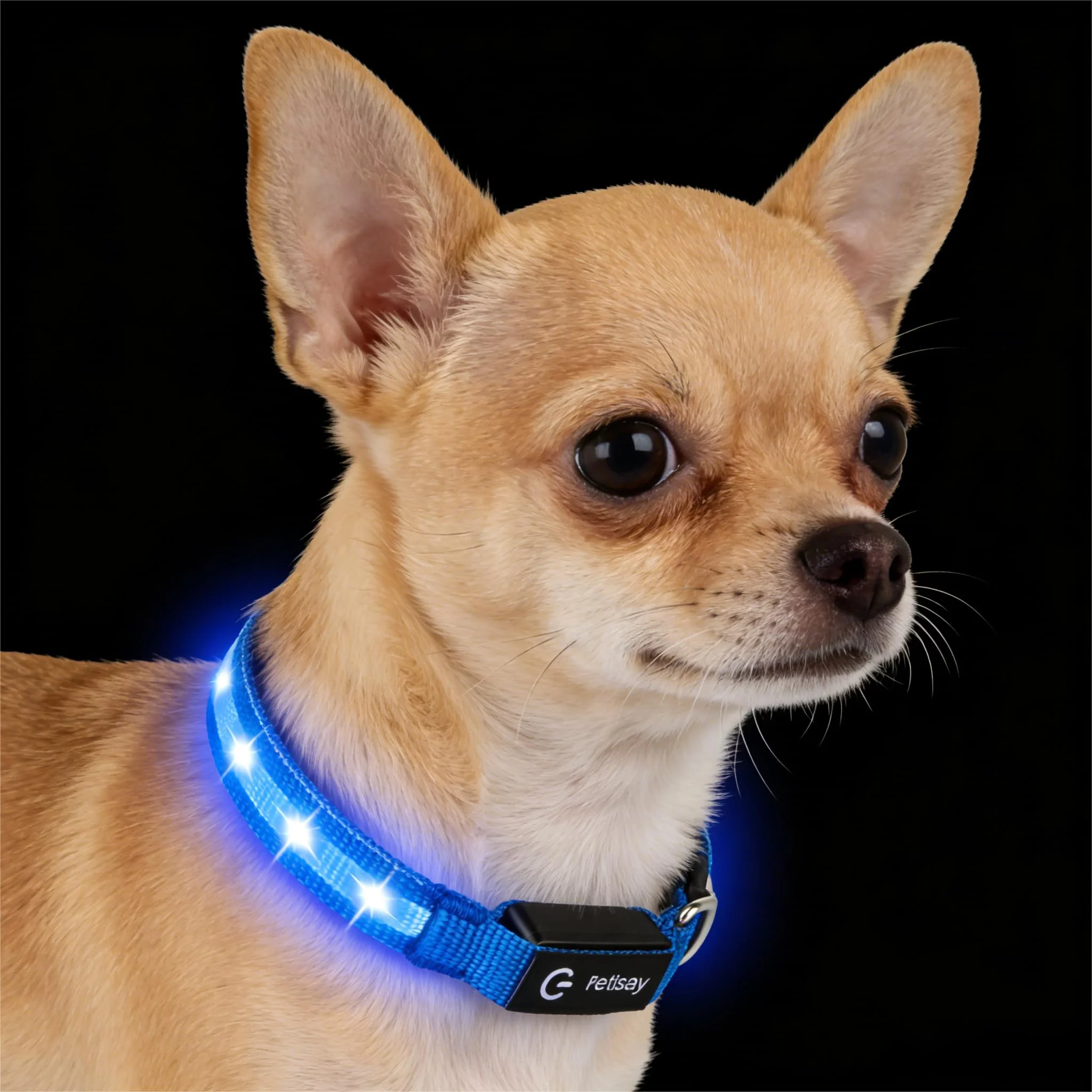 Fine Crafted PetIsay Super Bright LED Dog Collar Blue XS – Waterproof USB-C Rechargeable Adjustable for Night Walks Premium