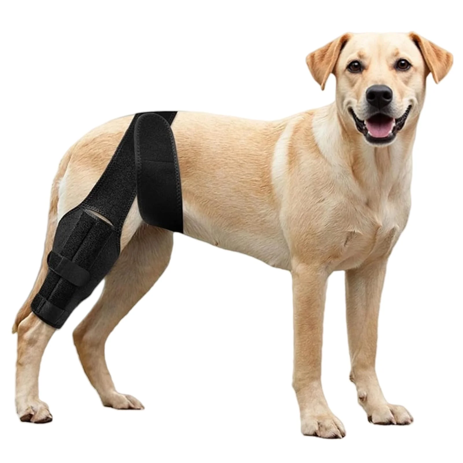 Superior NIUBNKJ Dog Knee Brace for ACL Tear - Adjustable Hind-Leg Support M Certified