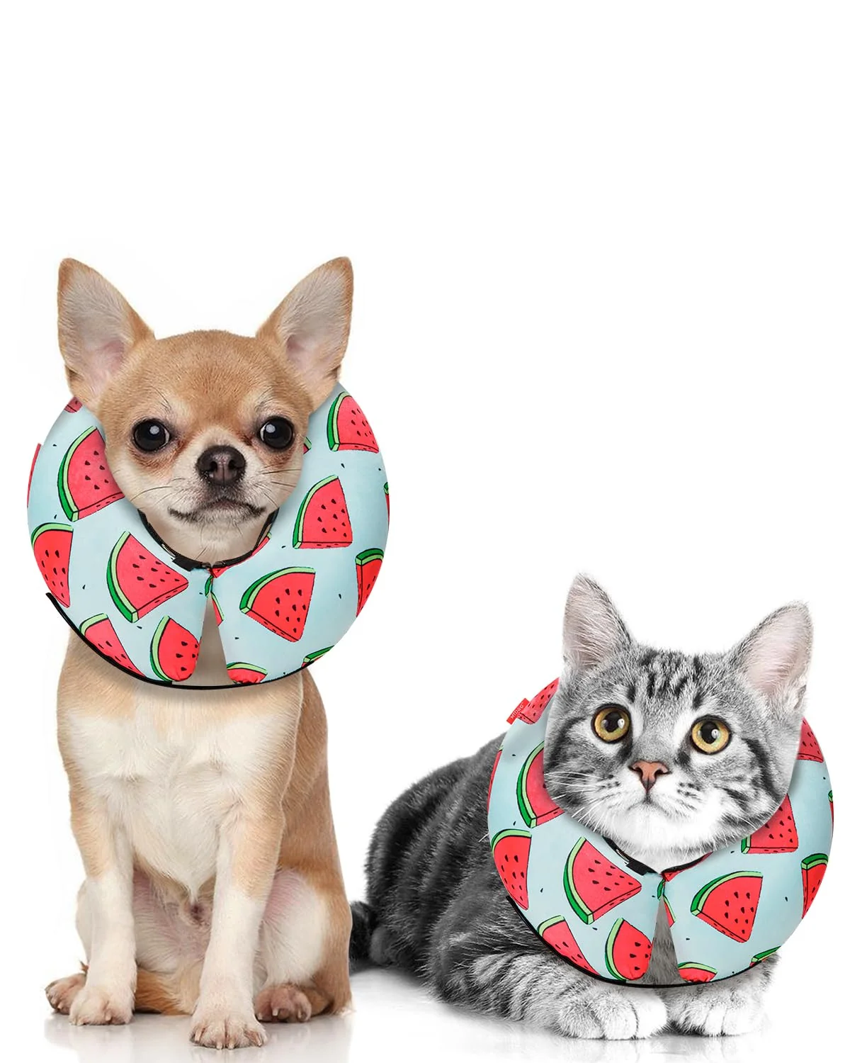 Minimalist MIDOG Inflatable Donut Cone – Soft Recovery E-Collar for Dogs Watermelon XS Responsible