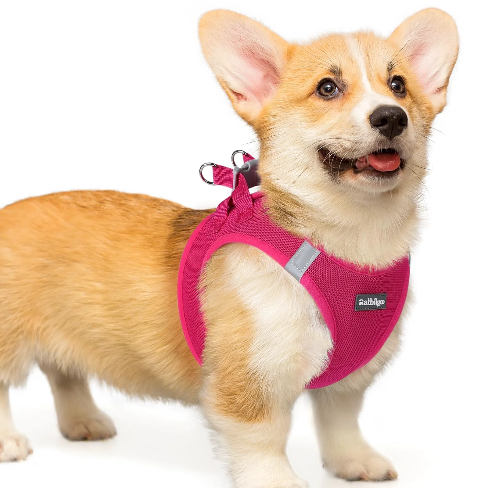 Original Rabbitgoo Small Dog Harness Rose Red L – Step-In Breathable Mesh with Reflective Safety Buckle Dependable