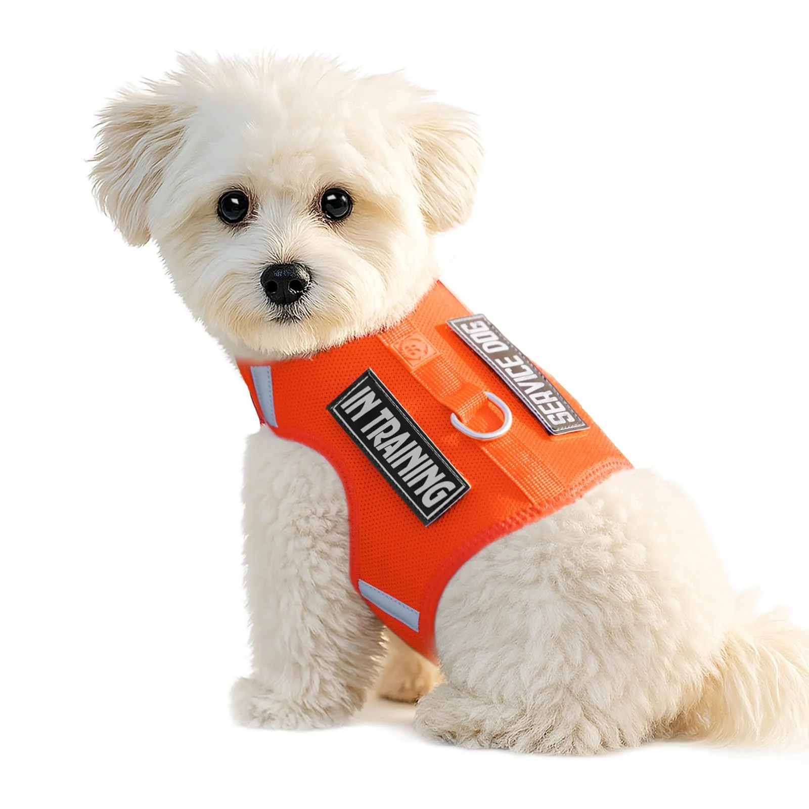 High-End Sunraymascota Dog Harness for Puppy – Adjustable Reflective Easy-On Soft Mesh Vest for Small Dogs Orange XS Comfortable