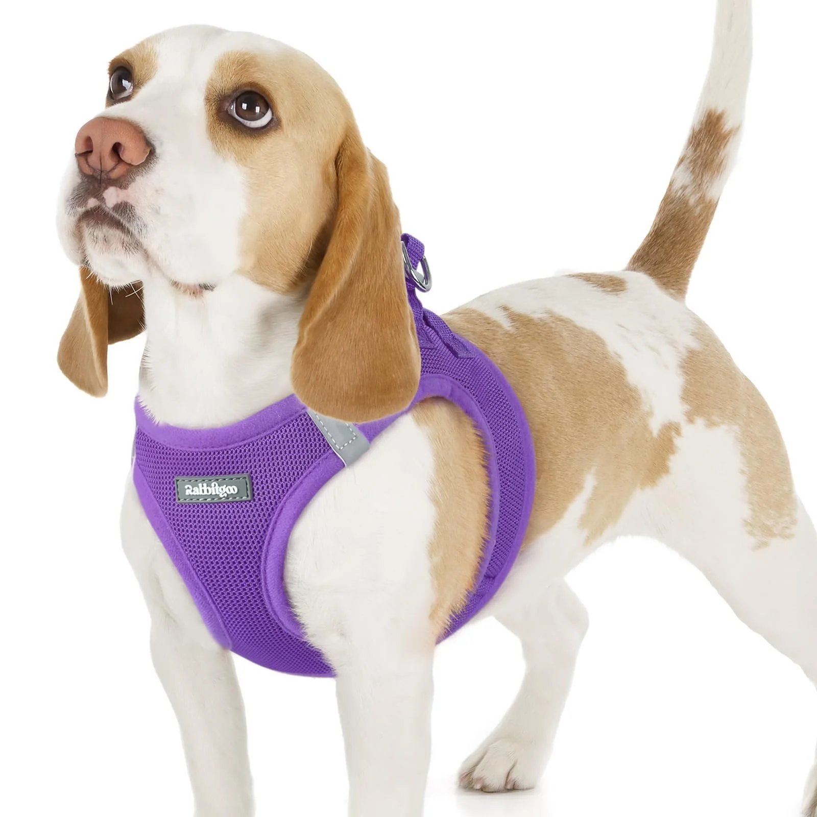 Luxury Rabbitgoo Small Dog Harness – Step-in Soft Mesh Vest Reflective Breathable Size M Purple Premium Material