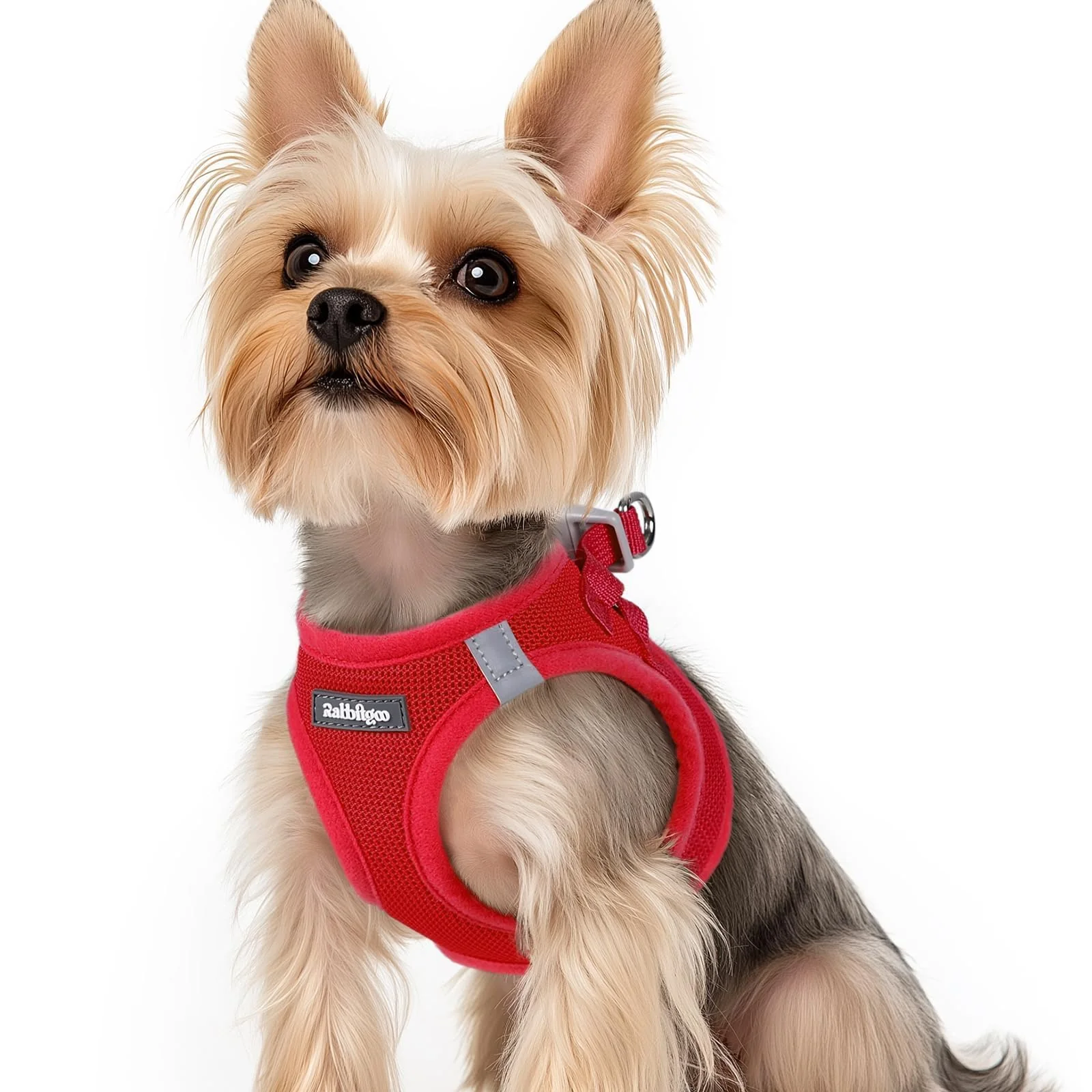 Long-Lasting Rabbitgoo Small Dog Harness XS - Step-In Mesh Reflective Safety Buckle Red Verified