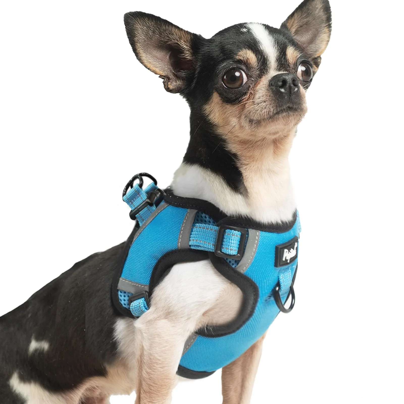 Fashionable PUPTECK No-Pull Harness XS – Adjustable Reflective Step-In Vest for Small Dogs Blue Smooth