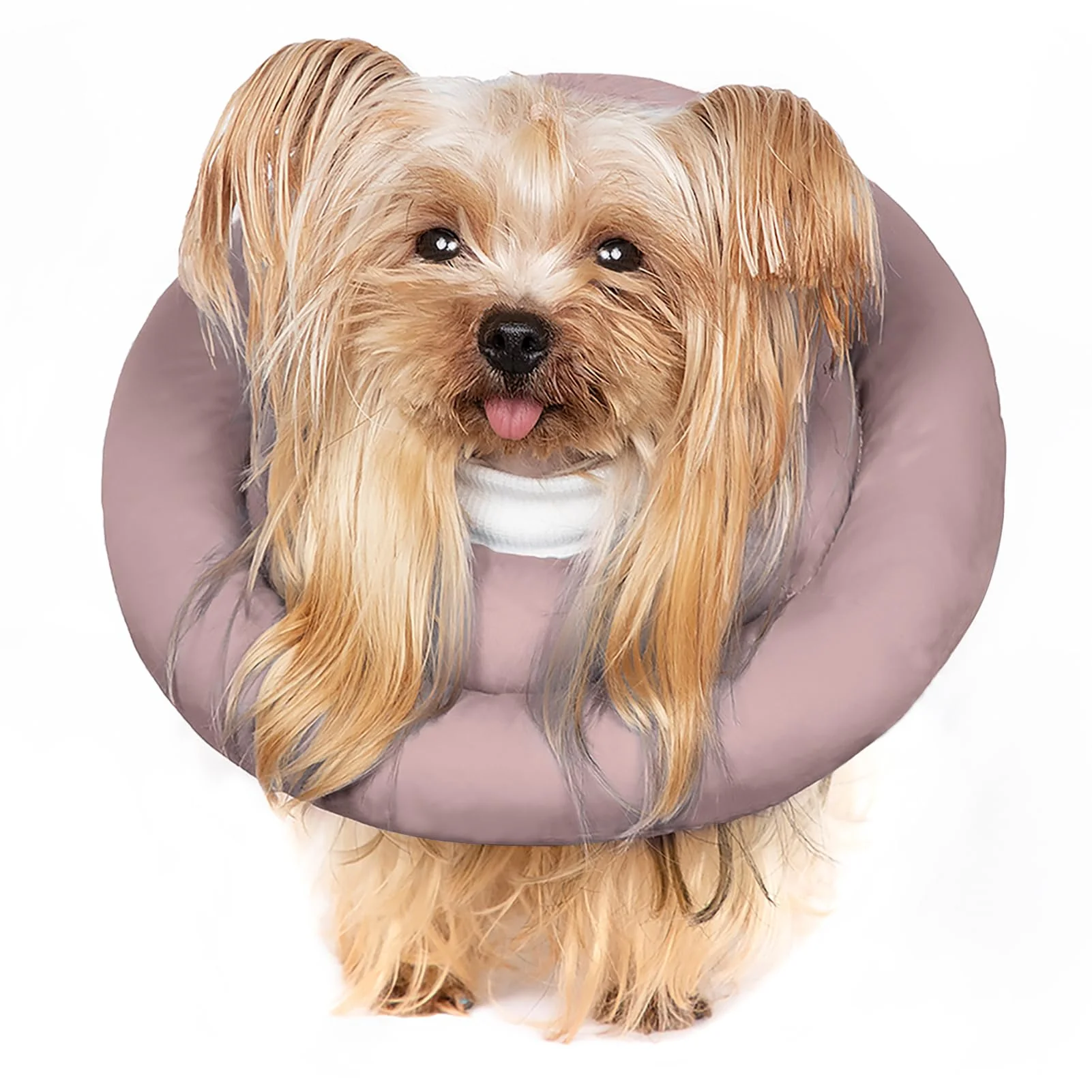 High-Grade GAGABODY Elizabethan Donut Collar – Comfortable Adjustable Soft Cone for Cats and Small to Medium Dogs Effective