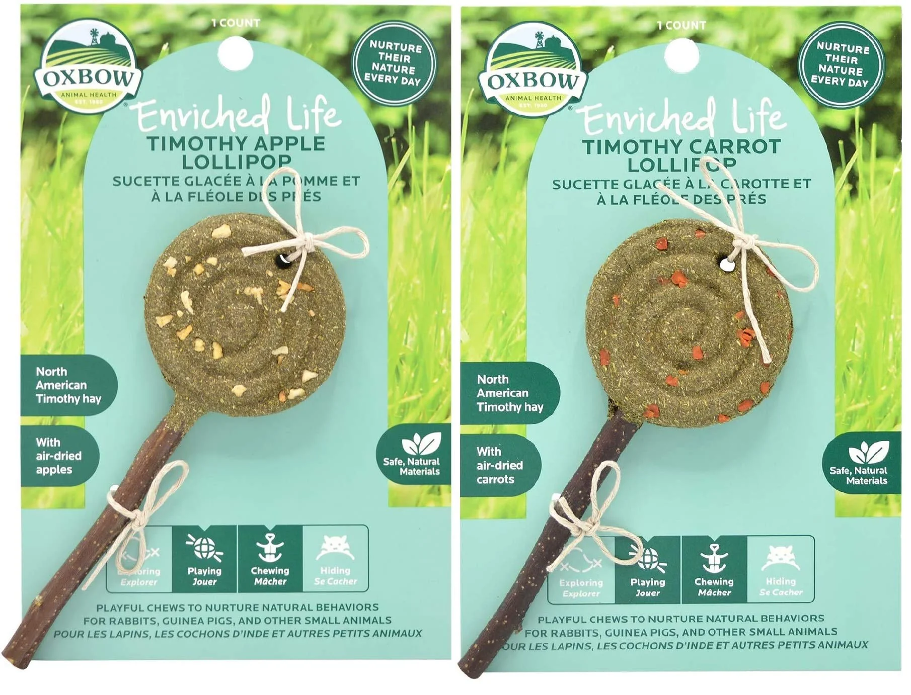 Reliable Oxbow Enriched Life Timothy Lollipop Small Pet Chew Bundle – Apple Carrot First-Class