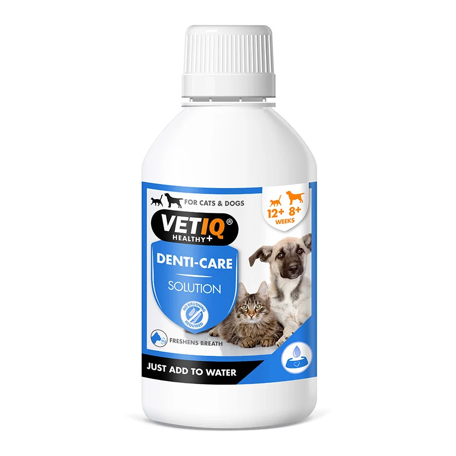 Clean VetIQ Denti-Care Liquid for Cat Dog 250ml Refined