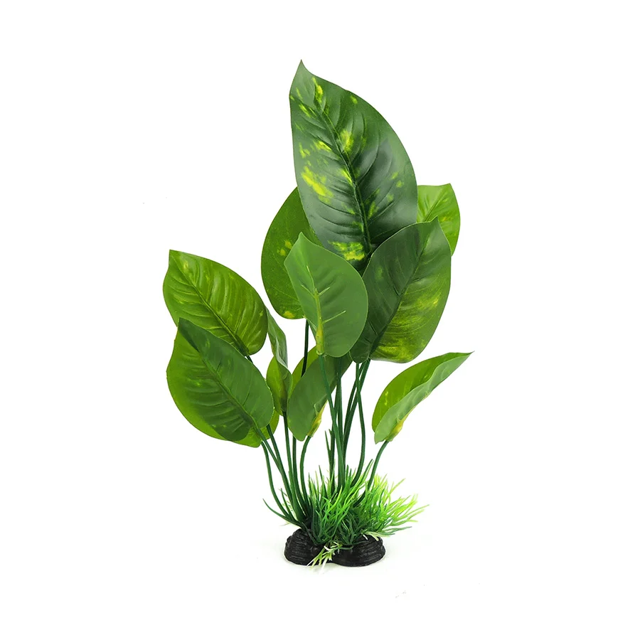 Unique Classic Aquatics Green Broad Plant Medium Luxury